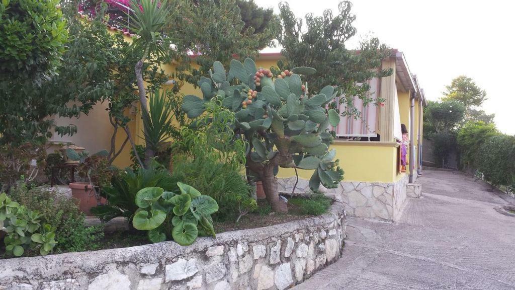 Villa Natura Sea View Vieste Exterior photo