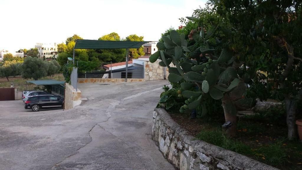 Villa Natura Sea View Vieste Exterior photo